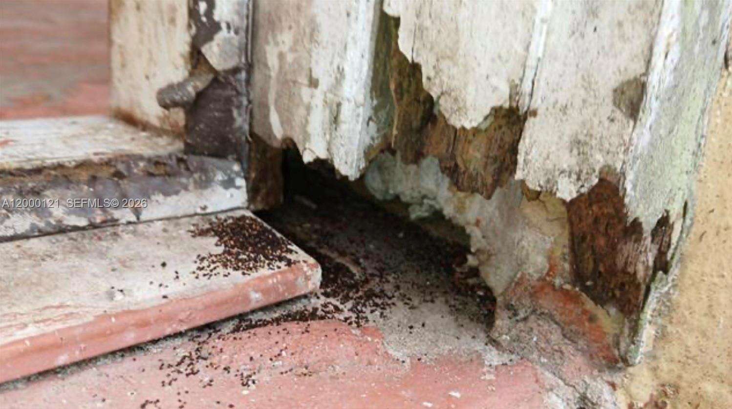 Coral Springs | 3931 108th Dr N/A | Picture 4