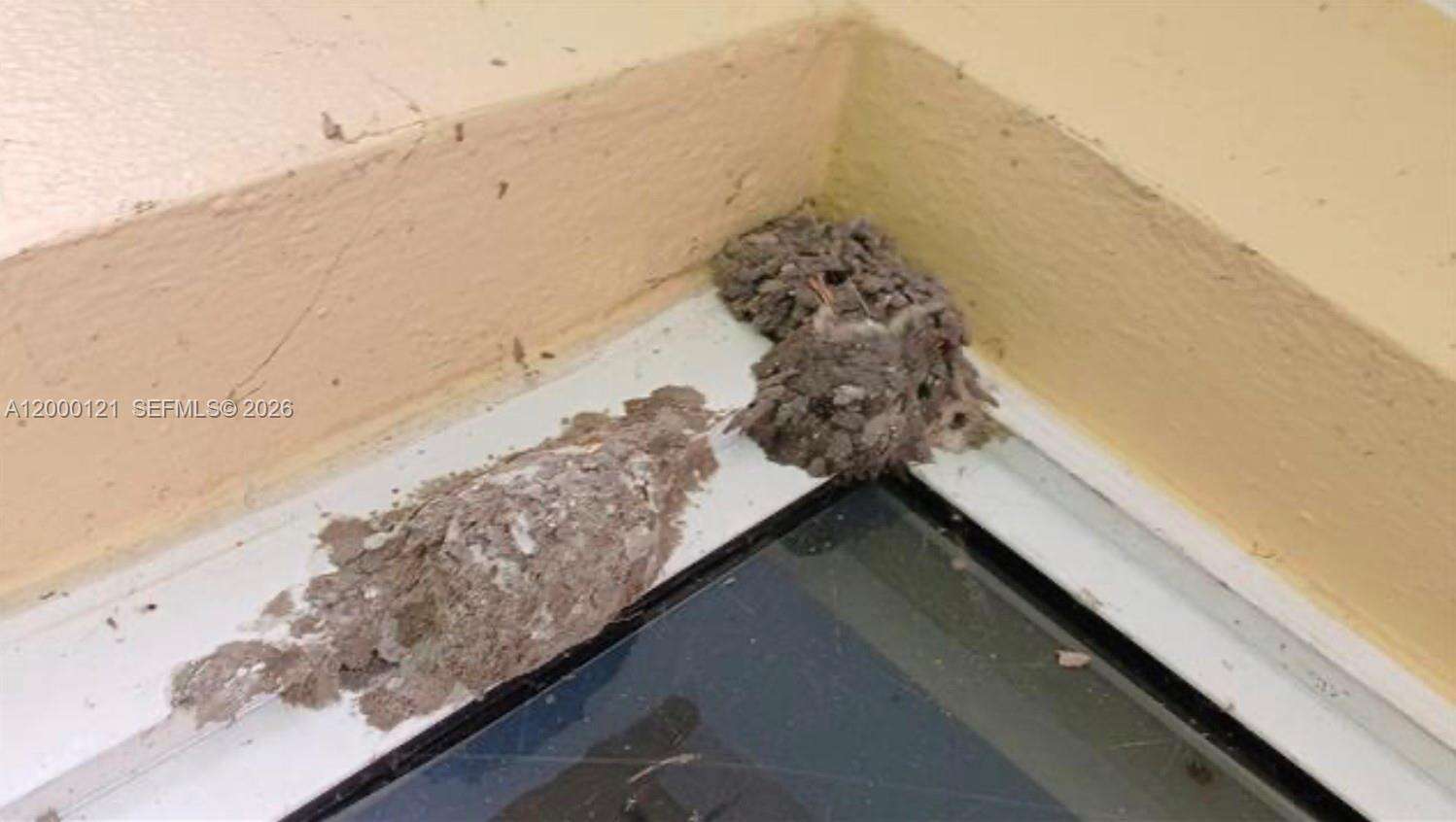 Coral Springs | 3931 108th Dr N/A | Picture 5