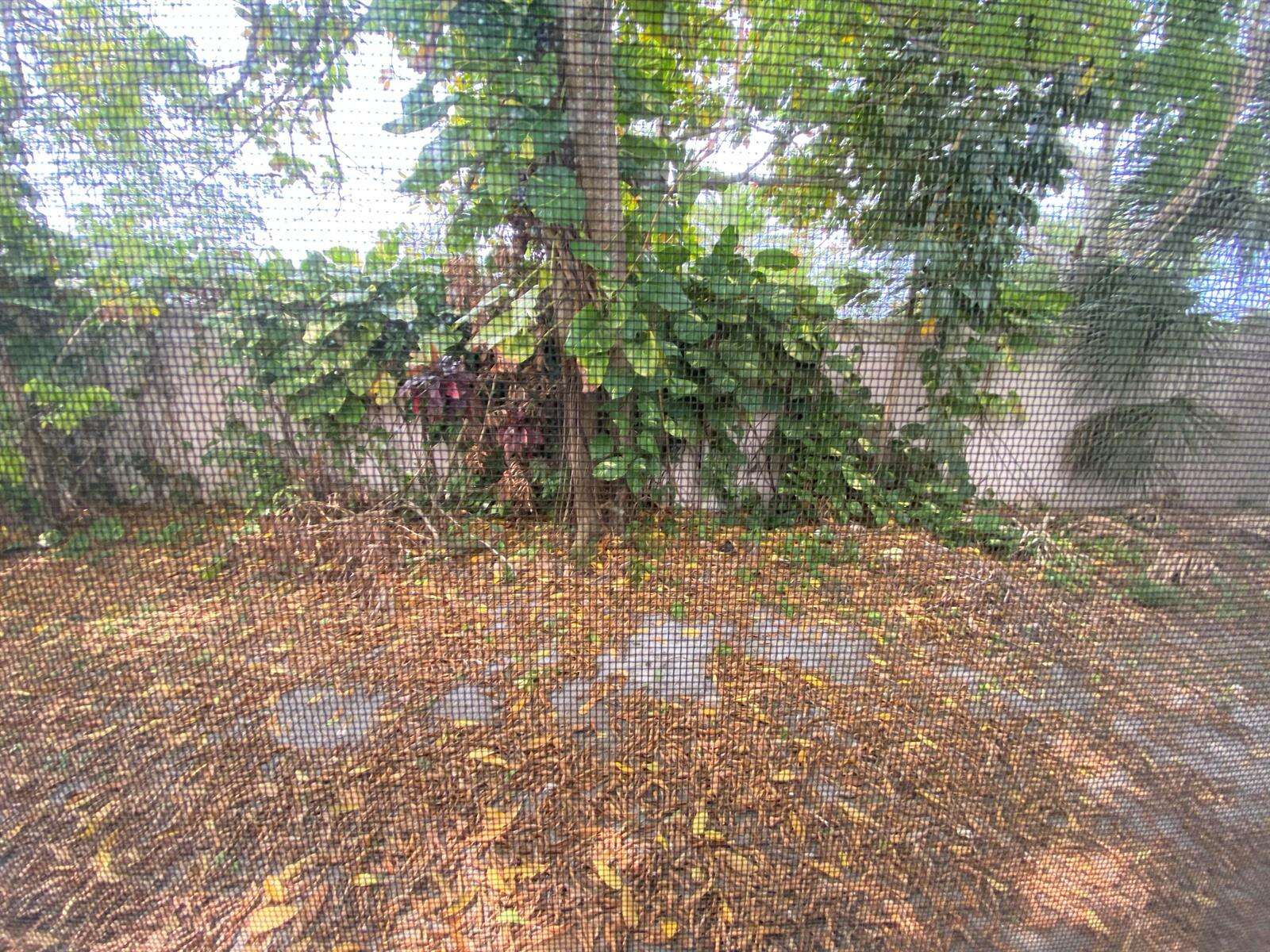 Lauderdale Lakes | 5139 43rd N/A | Picture 12