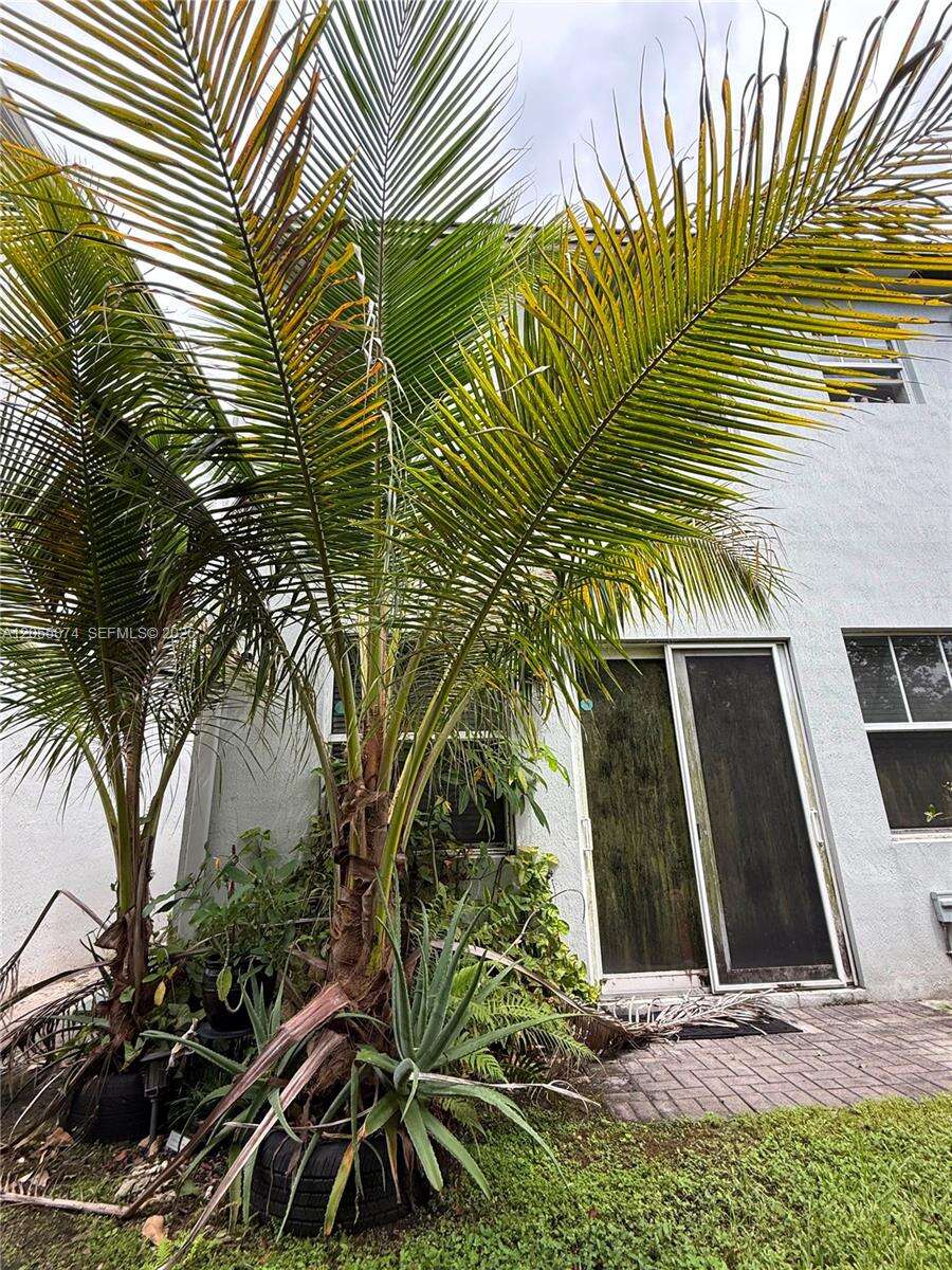 Tamarac |   N/A | Picture 3