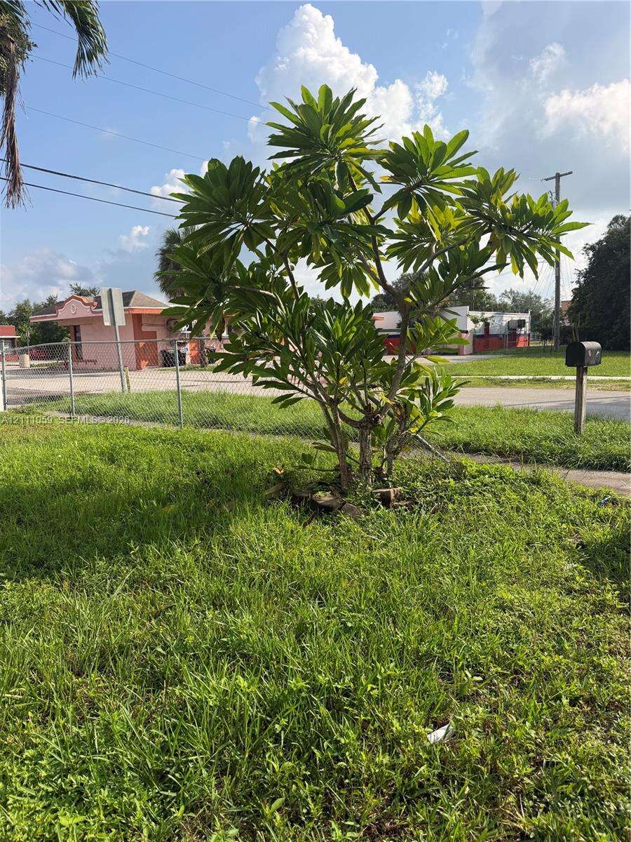 Fort Lauderdale | 537 16th Ave N/A | Picture 5